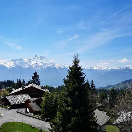 Cozy With Stunning View! Ski-in/ski-out. Apartment