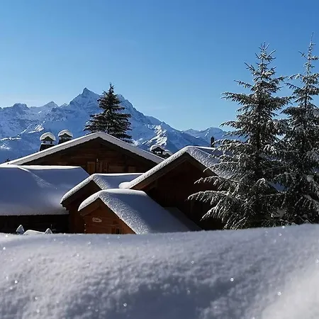 Cozy With Stunning View! Ski-in/ski-out. *