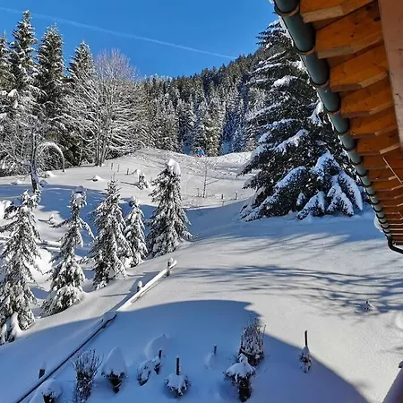 Apartment Cozy With Stunning View! Ski-in/ski-out.