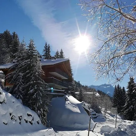 Cozy With Stunning View! Ski-in/ski-out. Villars-sur-Ollon